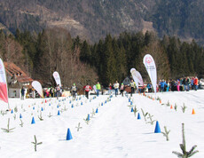 Abgesteckte Schneestrecke mit Markierungskegeln vor Wald und Bergen