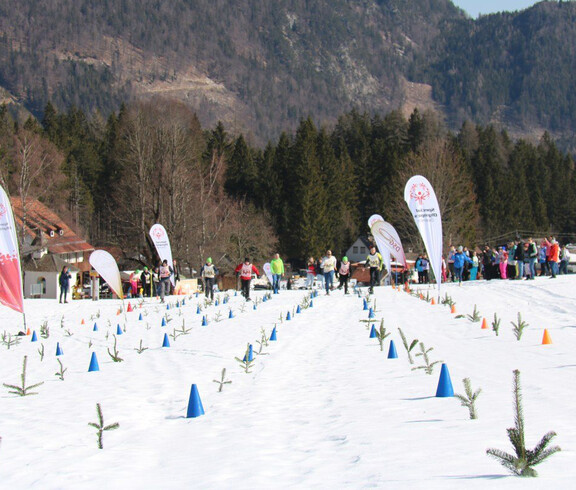 Abgesteckte Schneestrecke mit Markierungskegeln vor Wald und Bergen